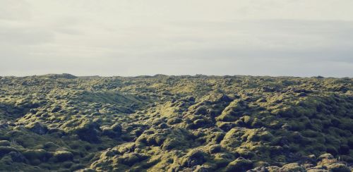 elf stories from Iceland