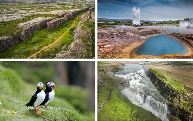 海鹦观赏与午后黄金圈组合团